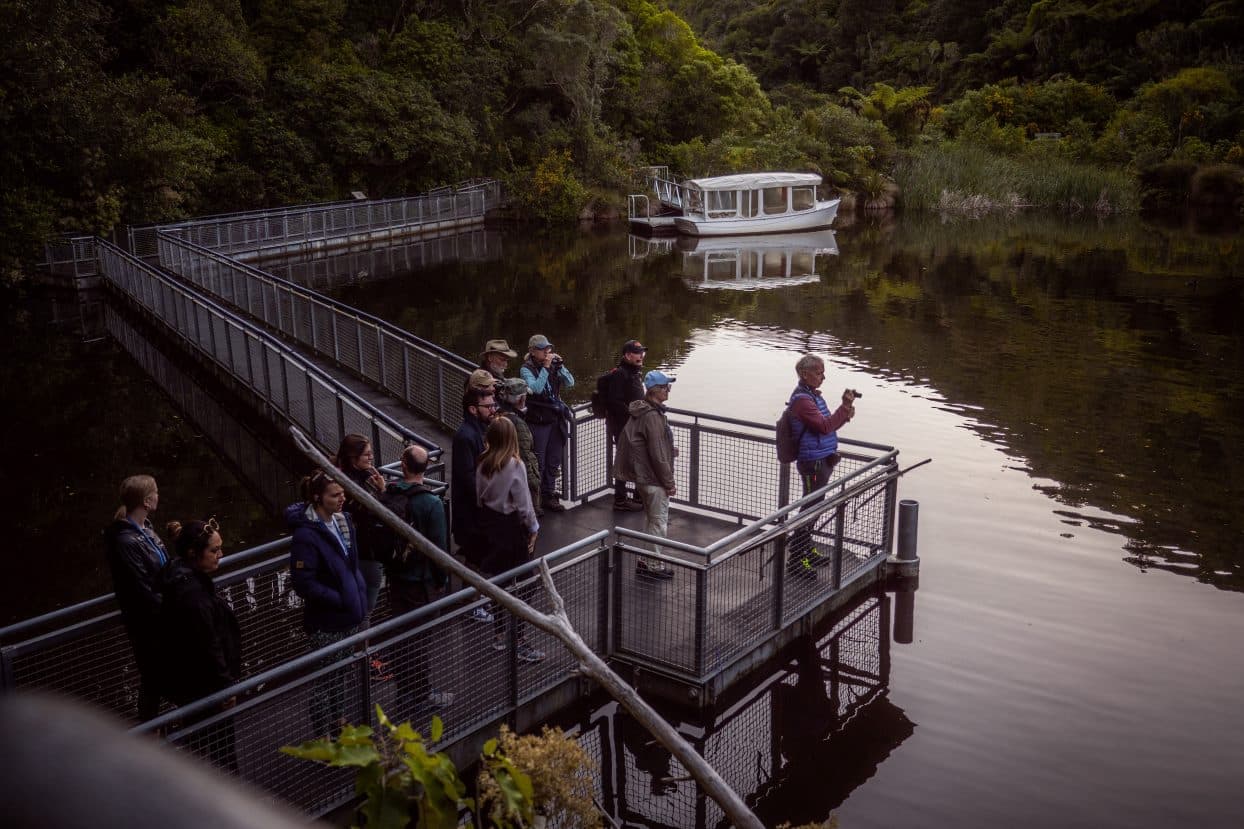 Zealandia Night Tour - image 6
